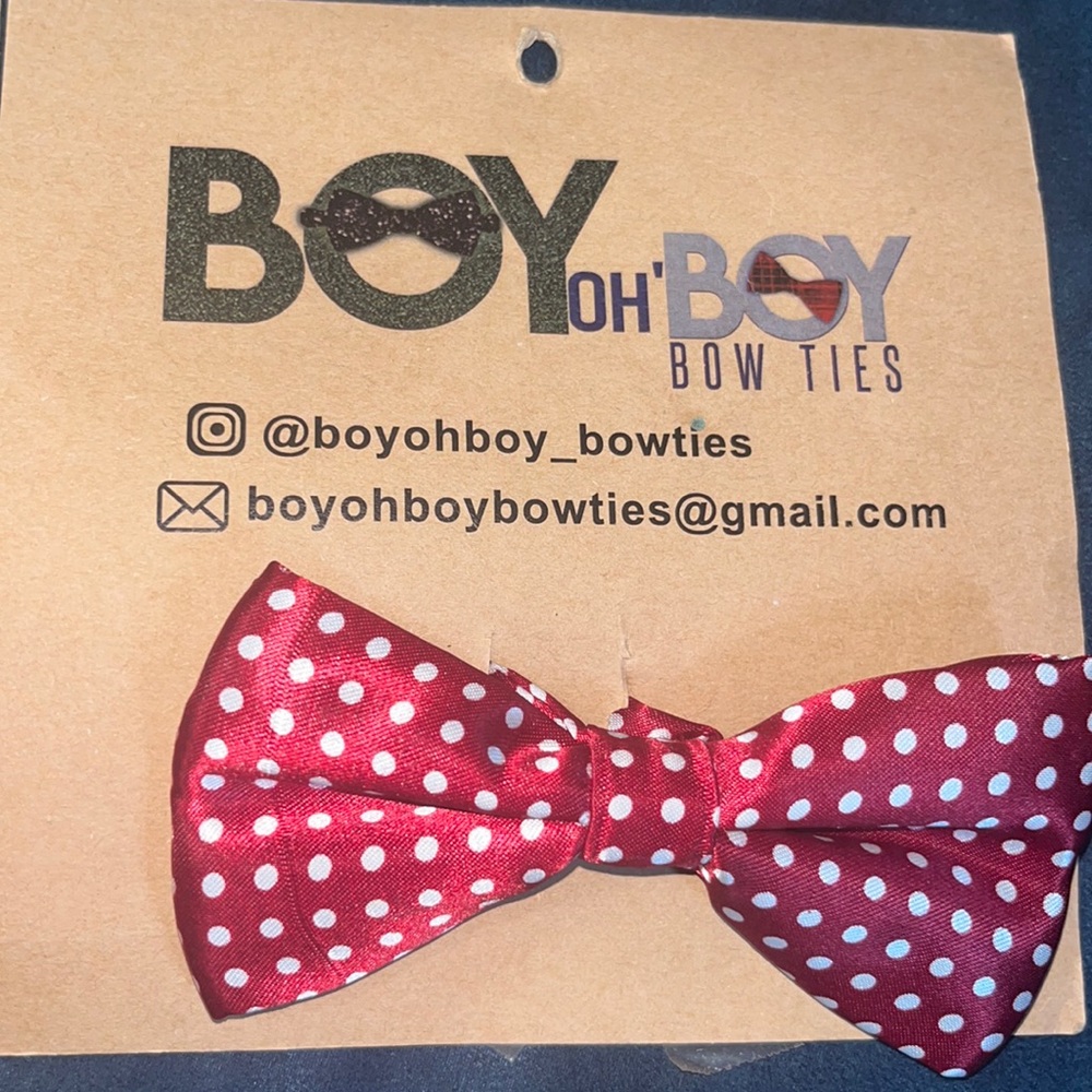 Burgundy Pooka dots bow ties. 2 bow ties for the price of 1. $10